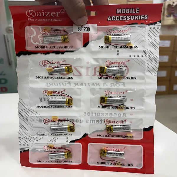 KAIZER 601230 RECHARGEABLE BATTERY