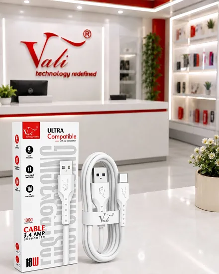 VALI ULTRA 18W TYPE- C DATA CABLE